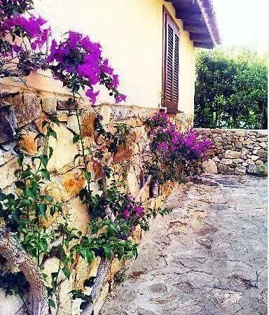 Via Eucaliptus Villa